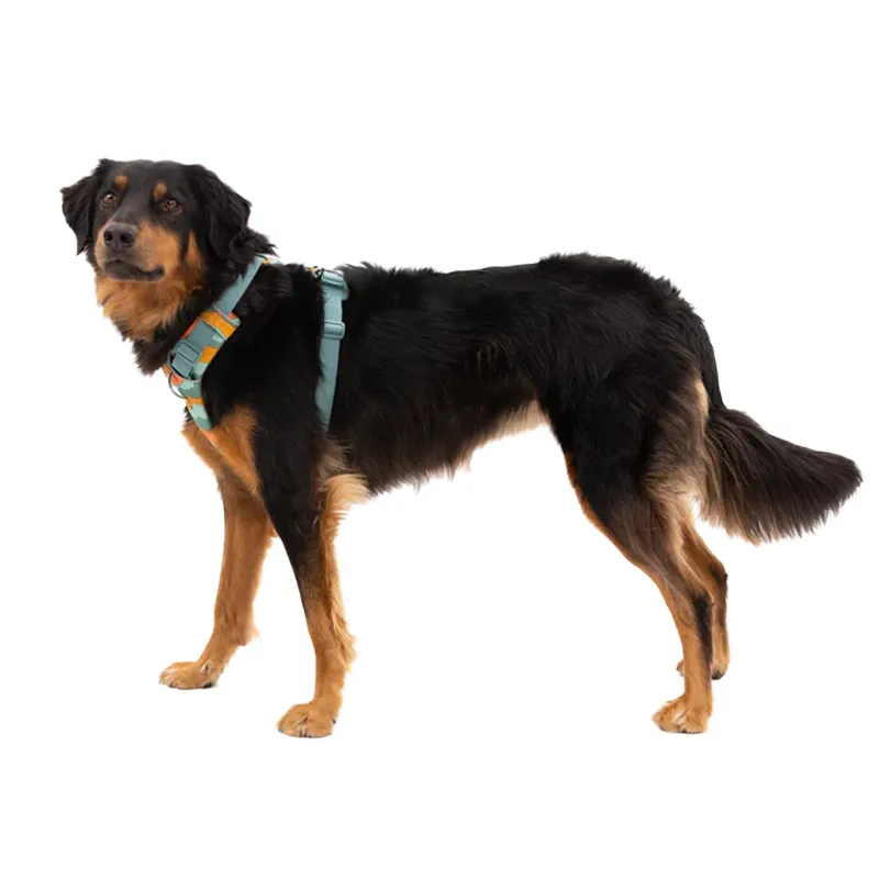 ⚡ Ruffwear Front Range Harness
