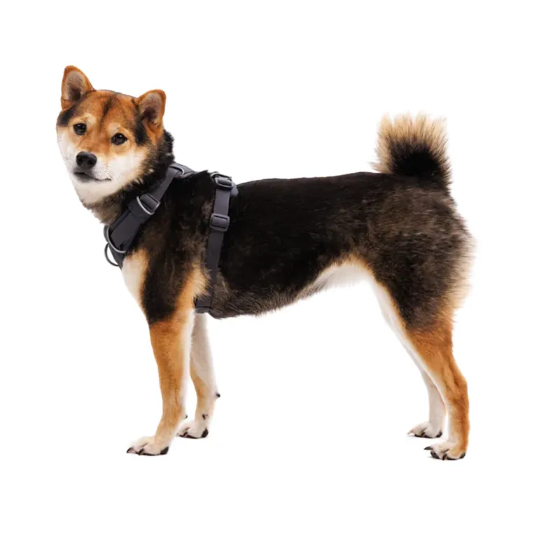 ⚡ Ruffwear Front Range Harness