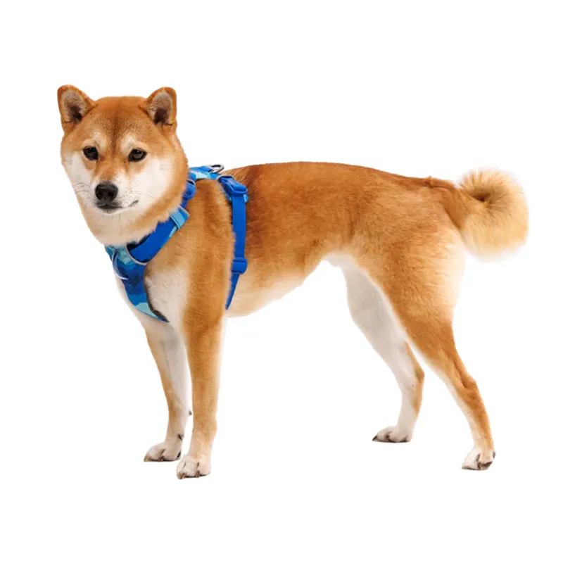 ⚡ Ruffwear Front Range Harness