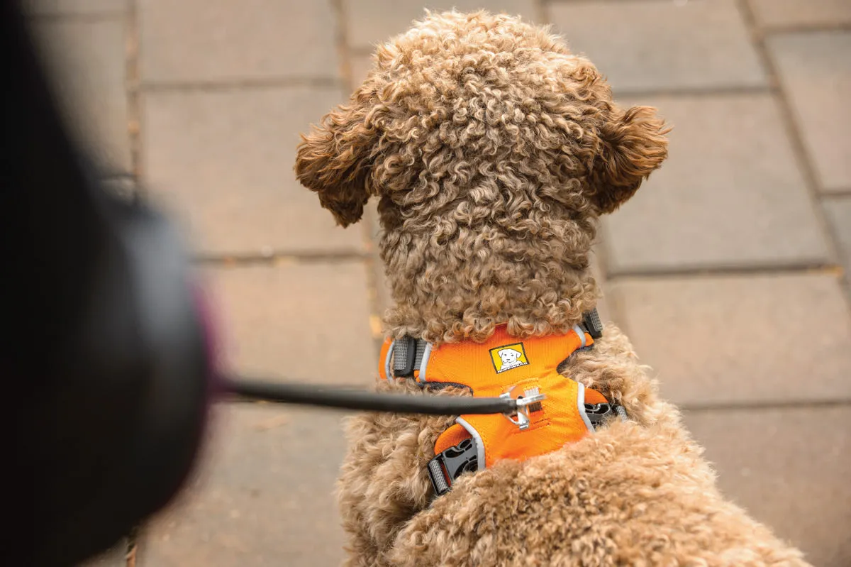 ✨ SALE ✨ Ruffwear Front Range Harness 2024
