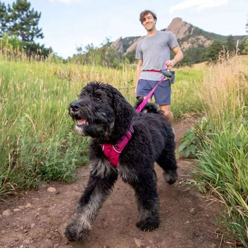 ✨ SALE ✨ Ruffwear Front Range Harness 2024