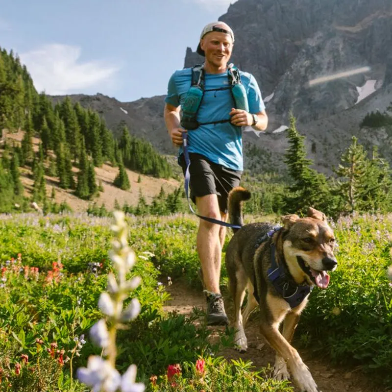 ✨ SALE ✨ Ruffwear Front Range Harness 2024