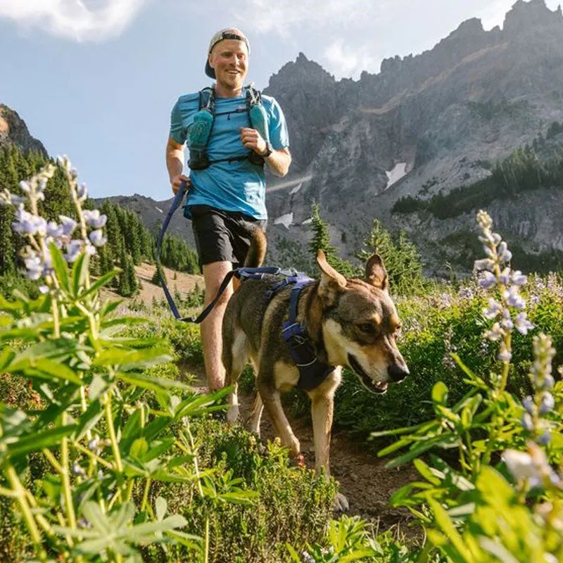 ✨ SALE ✨ Ruffwear Front Range Harness 2024