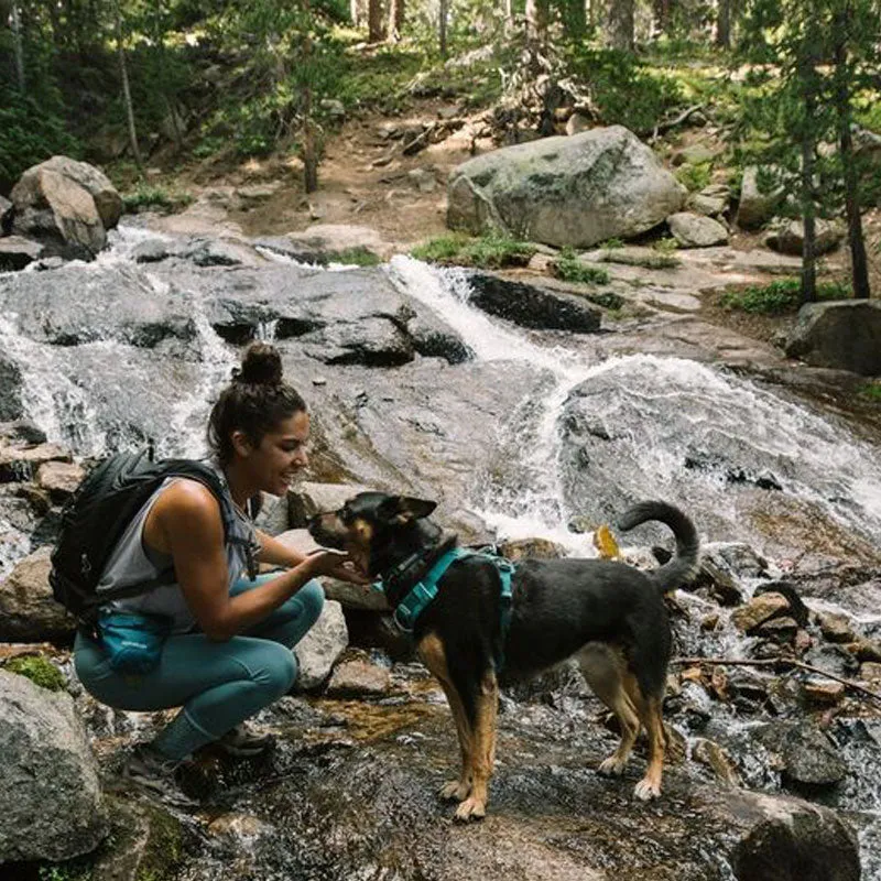✨ SALE ✨ Ruffwear Front Range Harness 2024