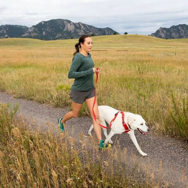 ✨ SALE ✨ Ruffwear Front Range Harness 2024