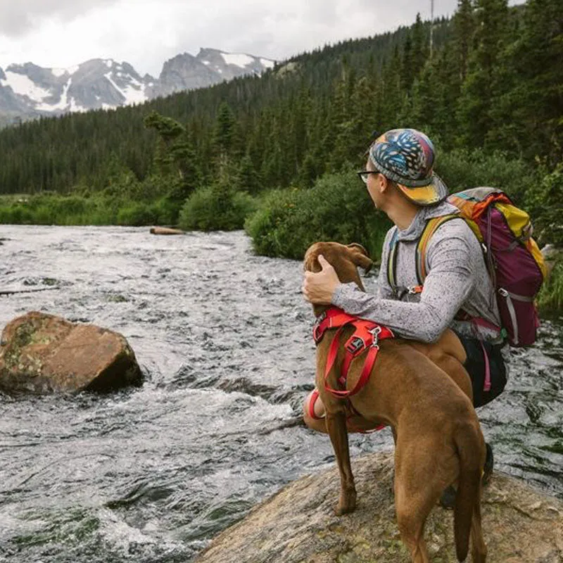 ✨ SALE ✨ Ruffwear Front Range Harness 2024