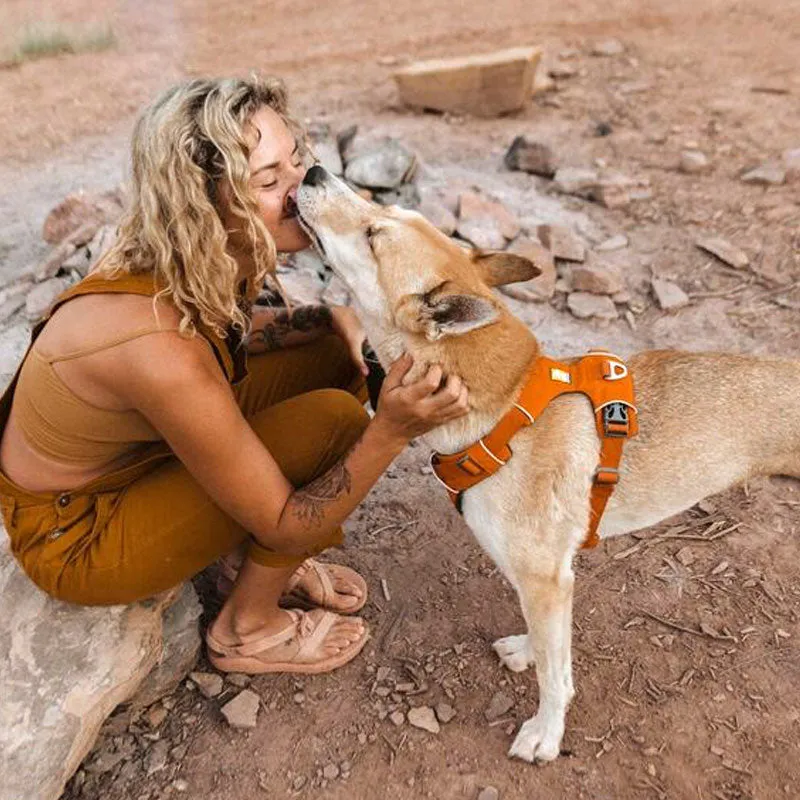 ✨ SALE ✨ Ruffwear Front Range Harness 2024