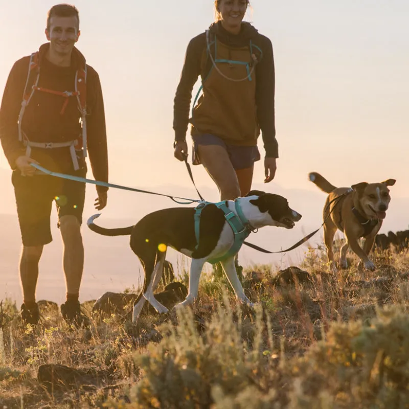 ✨ SALE ✨ Ruffwear Front Range Harness 2024