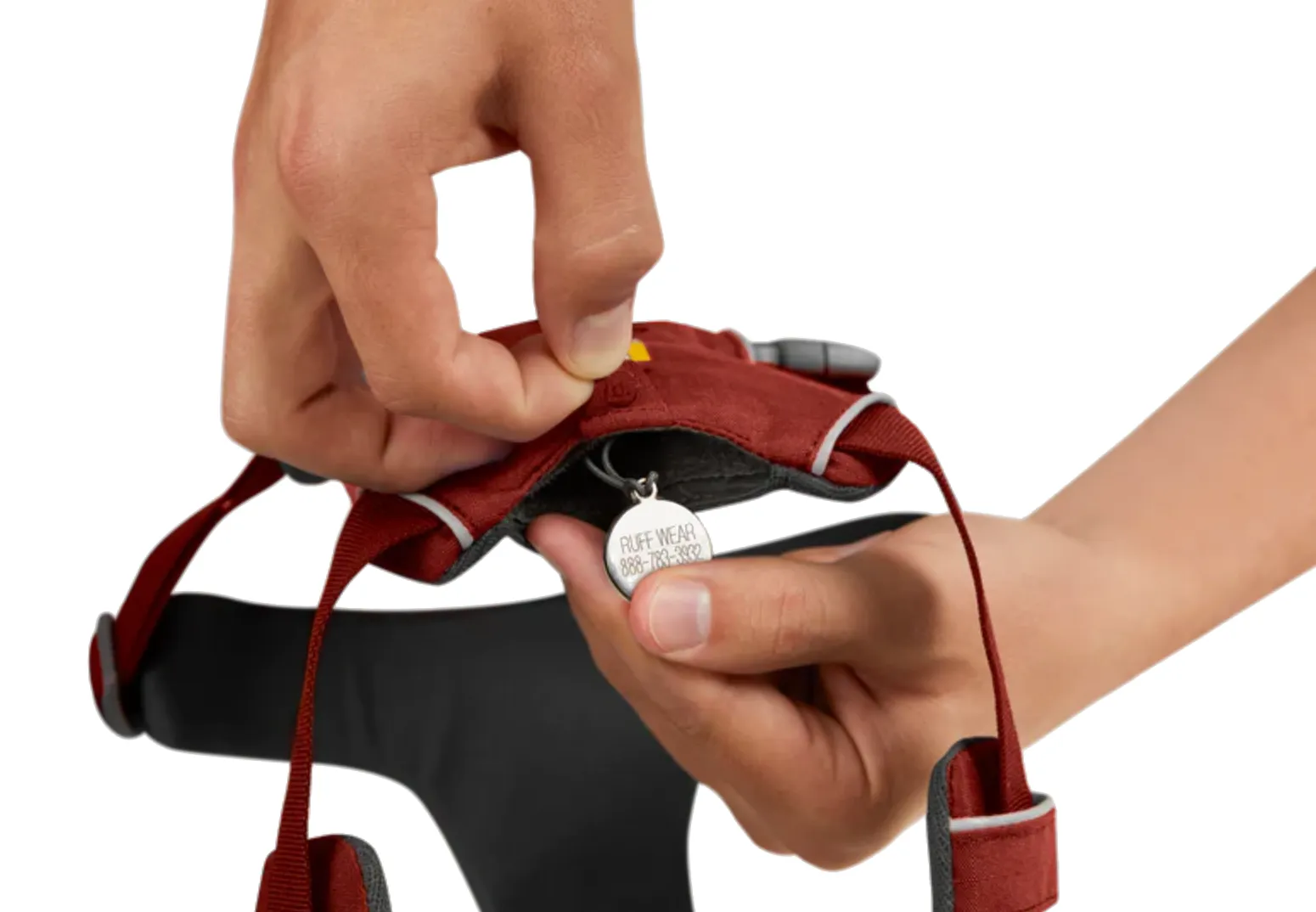 ✨ SALE ✨ Ruffwear Front Range Harness 2024