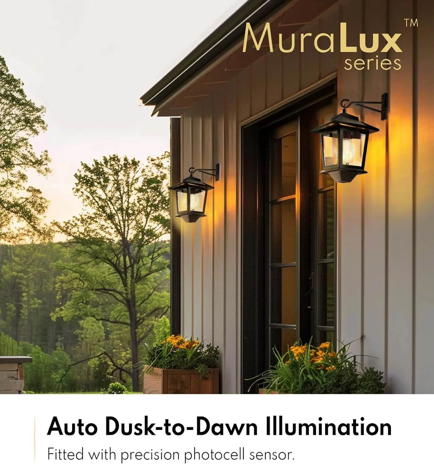 4 Pack Solar Wall Lanterns,Solar Lanterns Outdoor Waterproof with 4 Solar Panels,Hanging Solar Lights with Replaceable Bulb,Anti-Rust Solar Porch Lights Outdoor with Hooks,3000K Warm White
