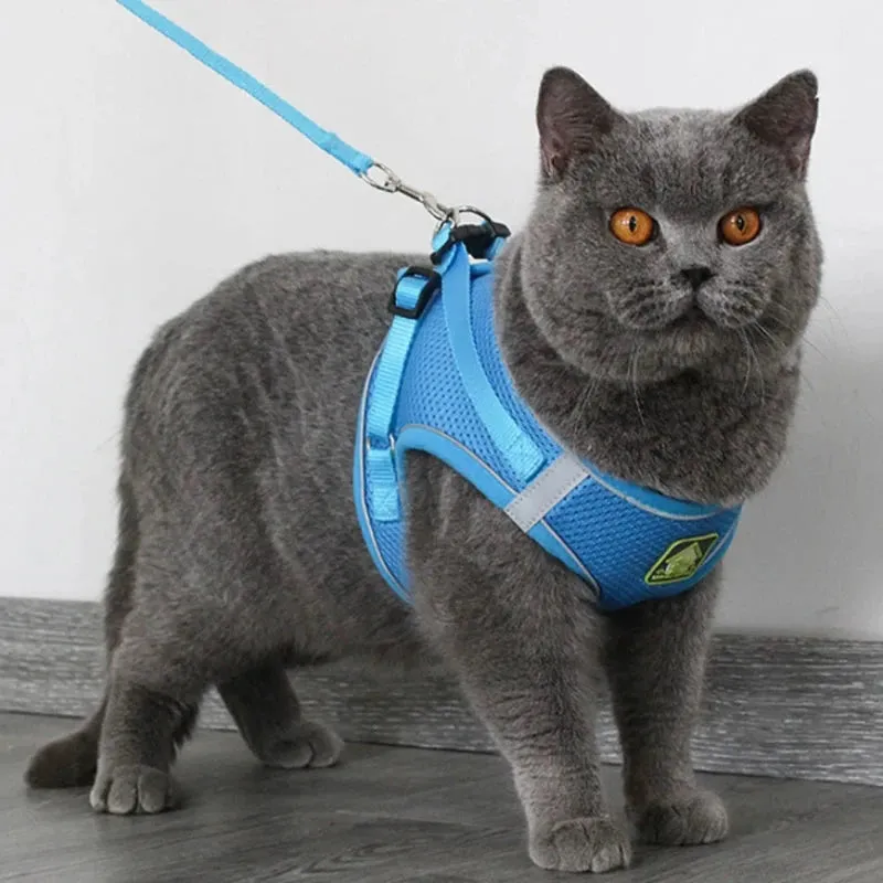 Cat Harness Escape-Proof and Leash Set