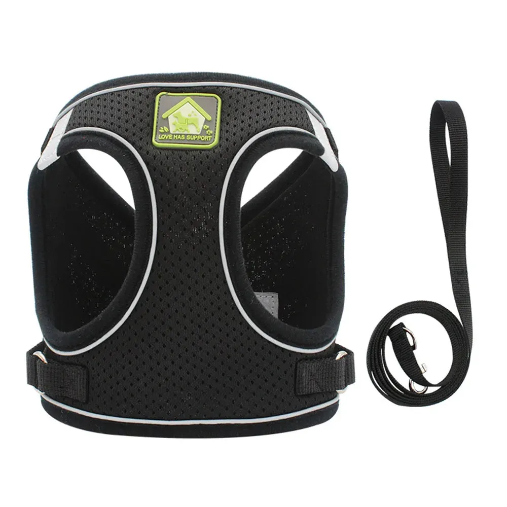 Cat Harness Escape-Proof and Leash Set