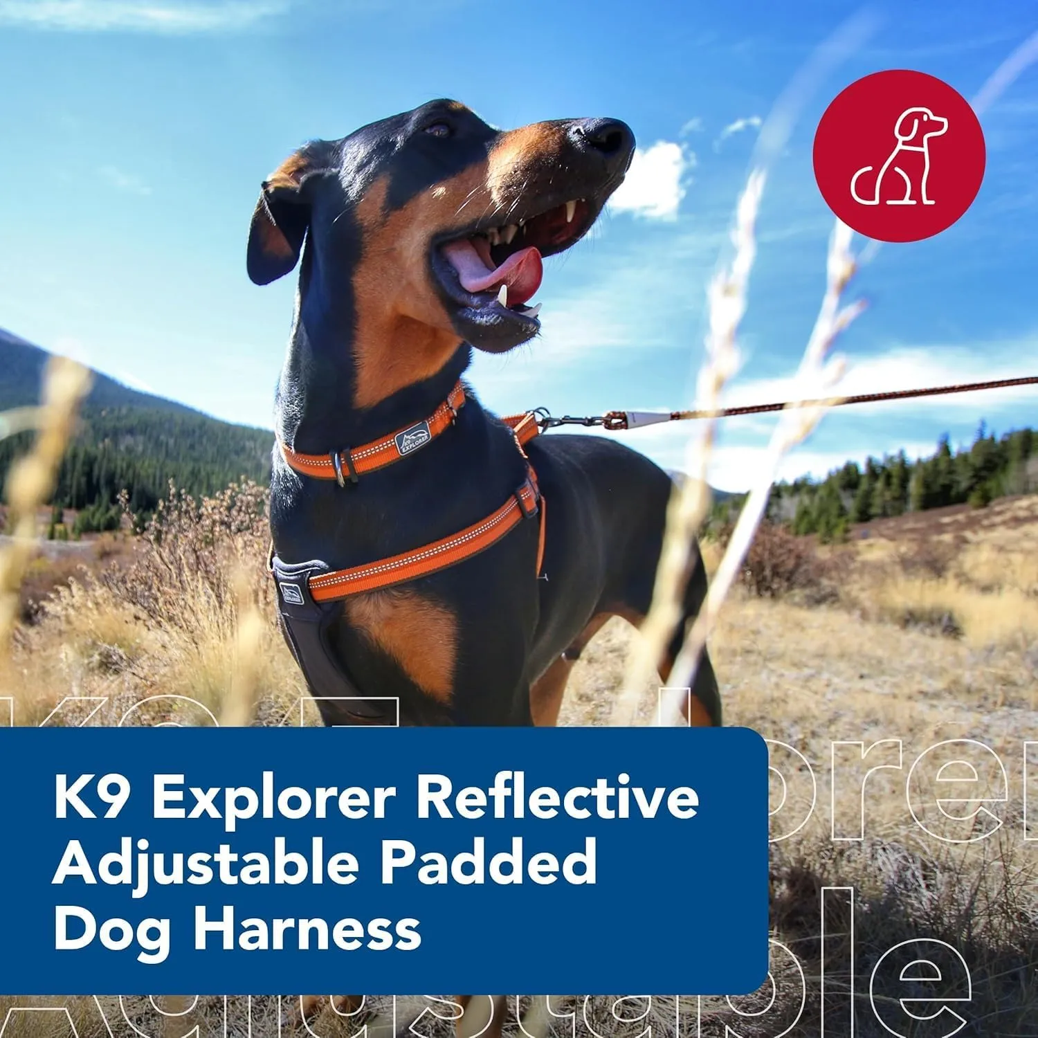 Coastal Pet K9 Explorer Reflective Adjustable Padded Dog Harness - Plush Chest Pad for Comfort - No-Pull Dog Harness for Small and Large Dogs - Campfire Orange - 5/8" x 16"-24", Small