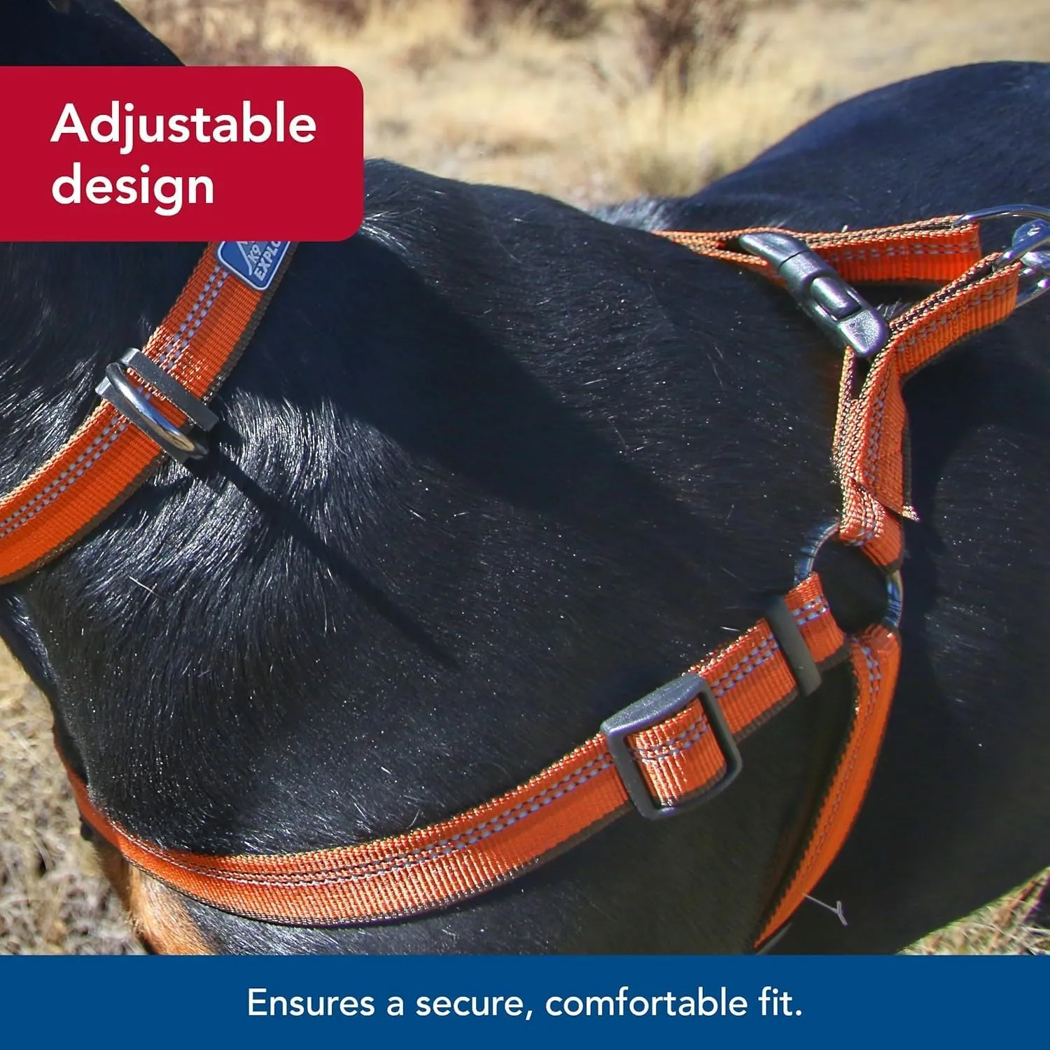 Coastal Pet K9 Explorer Reflective Adjustable Padded Dog Harness - Plush Chest Pad for Comfort - No-Pull Dog Harness for Small and Large Dogs - Campfire Orange - 5/8" x 16"-24", Small