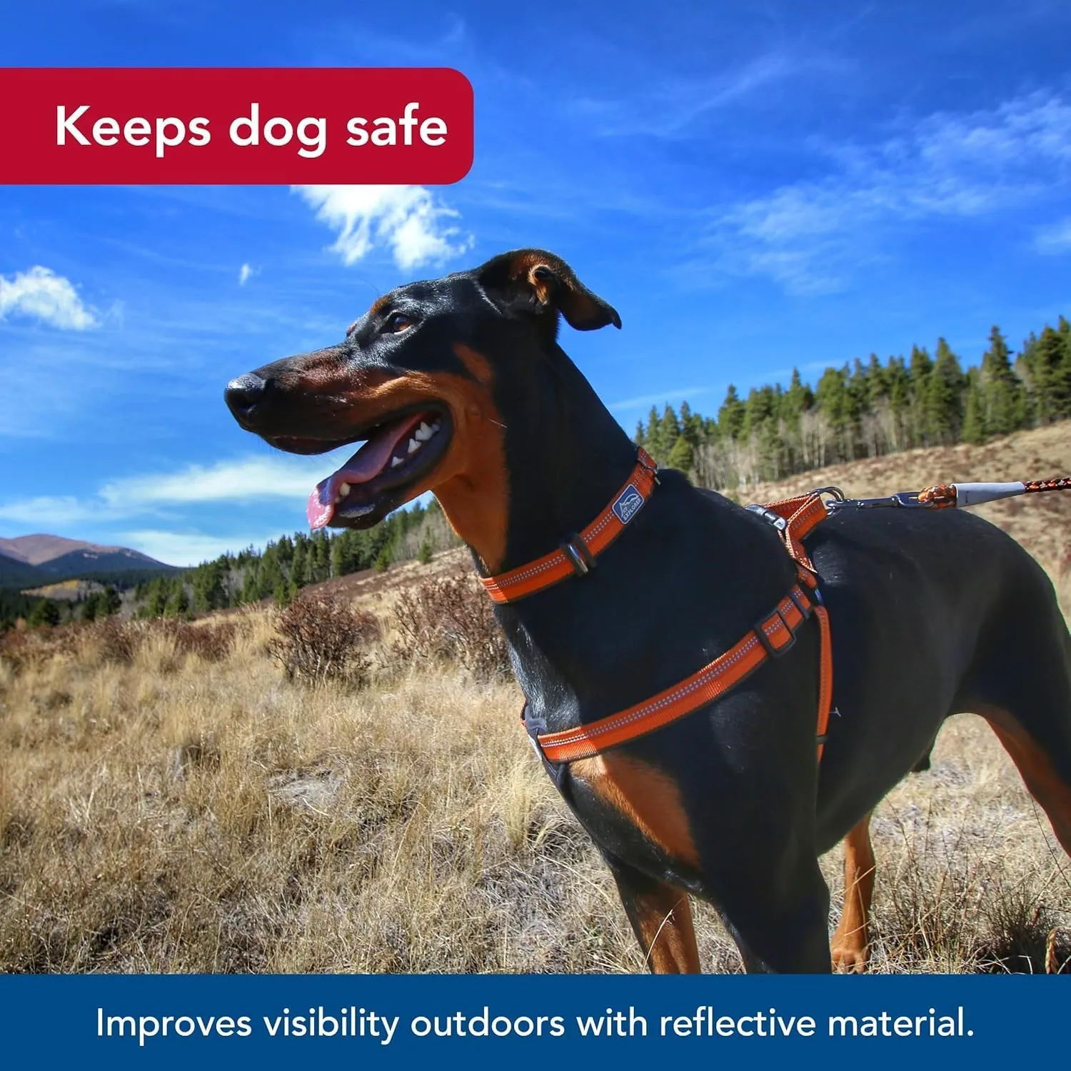 Coastal Pet K9 Explorer Reflective Adjustable Padded Dog Harness - Plush Chest Pad for Comfort - No-Pull Dog Harness for Small and Large Dogs - Campfire Orange - 5/8" x 16"-24", Small