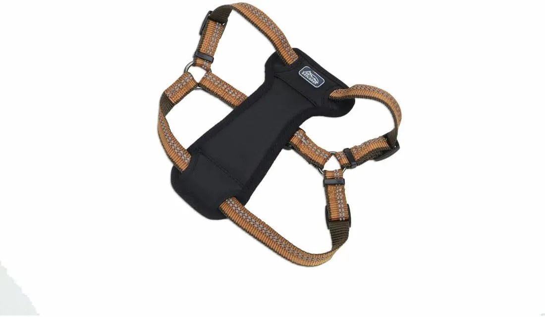 Coastal Pet K9 Explorer Reflective Adjustable Padded Dog Harness - Plush Chest Pad for Comfort - No-Pull Dog Harness for Small and Large Dogs - Campfire Orange - 5/8" x 16"-24", Small