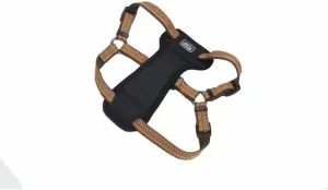 Coastal Pet K9 Explorer Reflective Adjustable Padded Dog Harness - Plush Chest Pad for Comfort - No-Pull Dog Harness for Small and Large Dogs - Campfire Orange - 5/8" x 16"-24", Small