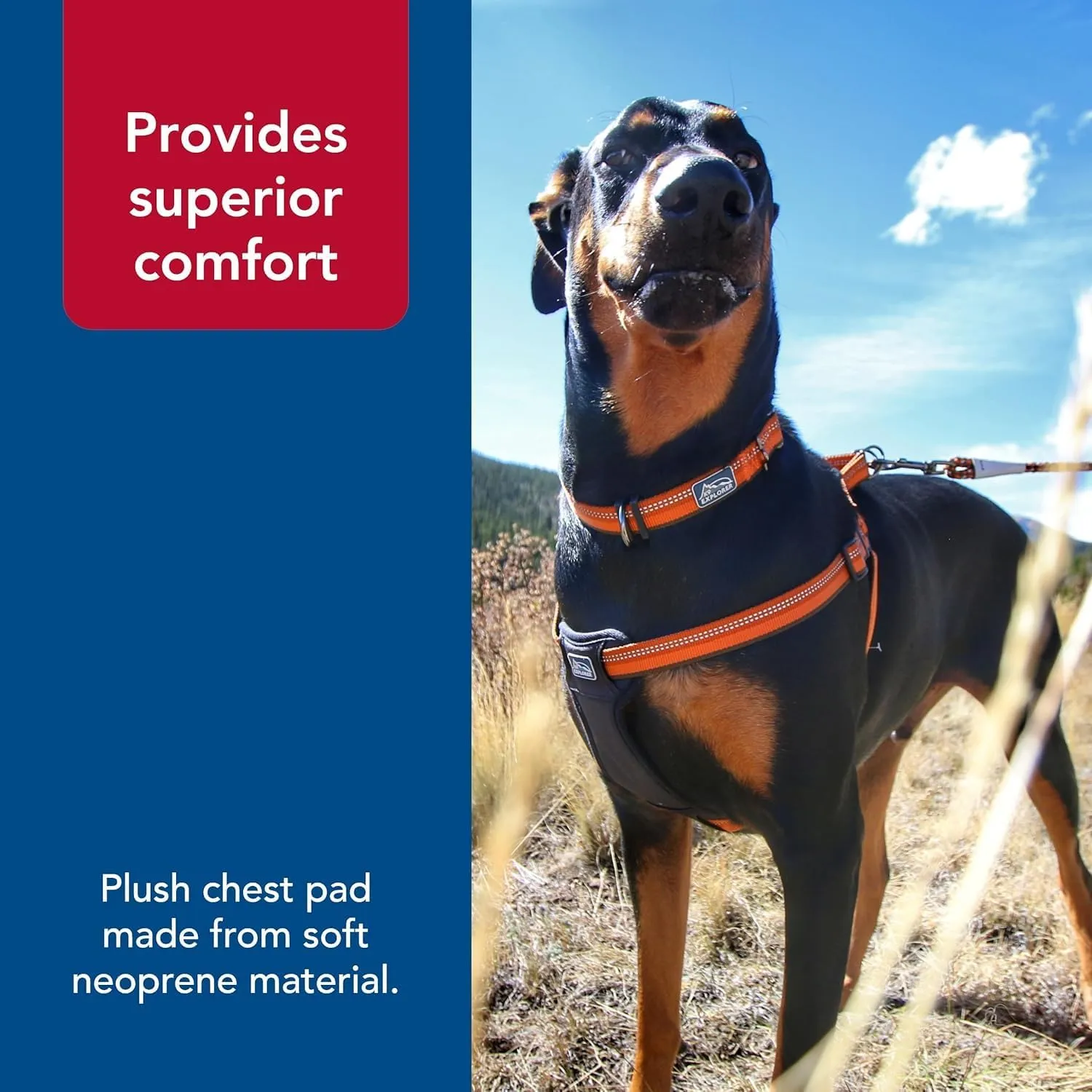 Coastal Pet K9 Explorer Reflective Adjustable Padded Dog Harness - Plush Chest Pad for Comfort - No-Pull Dog Harness for Small and Large Dogs - Campfire Orange - 5/8" x 16"-24", Small