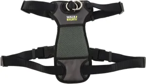 Coastal Pet Walk Right Front-Connect No-Pull Padded Dog Harness - Adjustable & Comfortable Dog Harness - Small & Large Breed Fit - Quality Pet Supplies - Black, MED (20"-30")