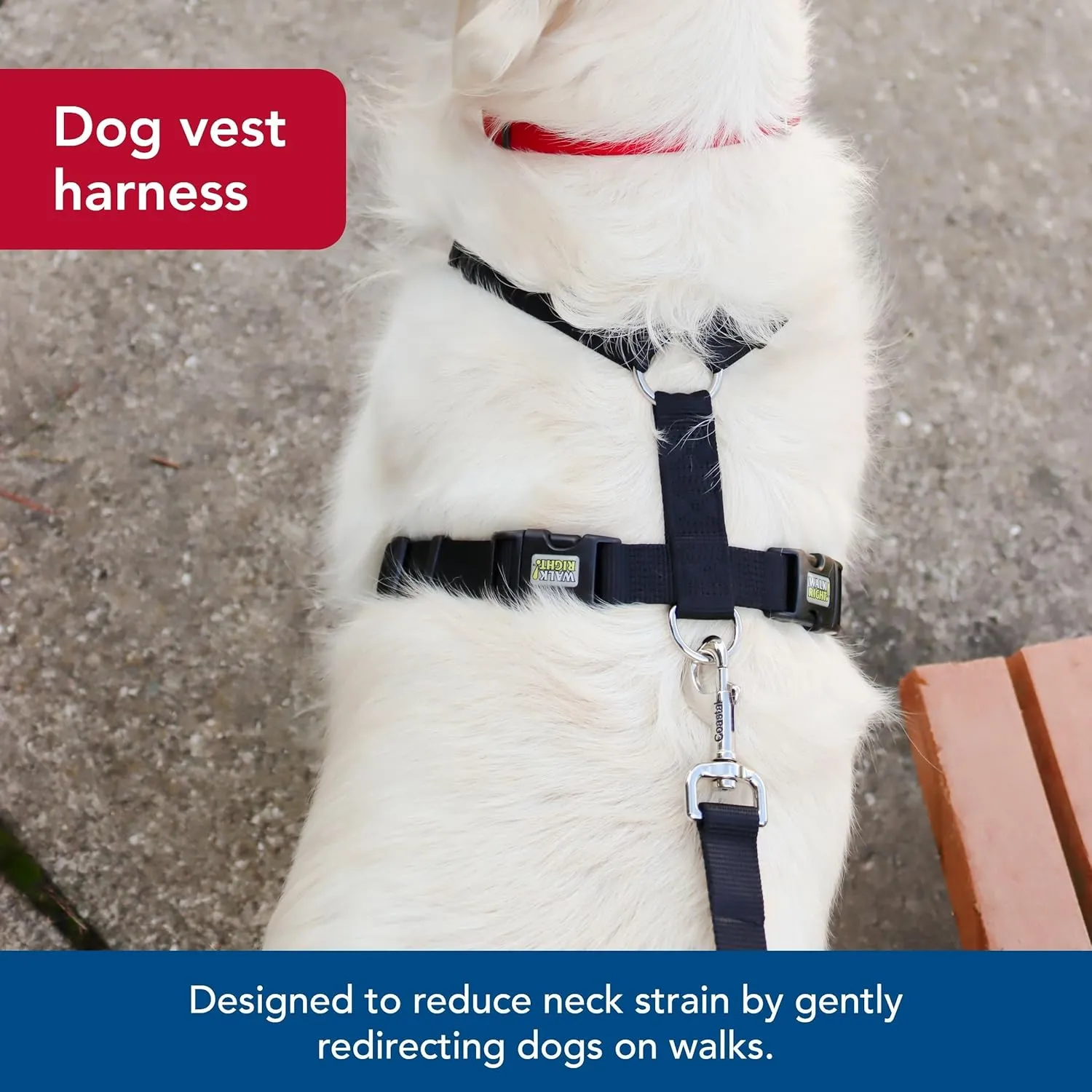 Coastal Pet Walk Right Front-Connect No-Pull Padded Dog Harness - Adjustable & Comfortable Dog Harness - Small & Large Breed Fit - Quality Pet Supplies - Black, MED (20"-30")