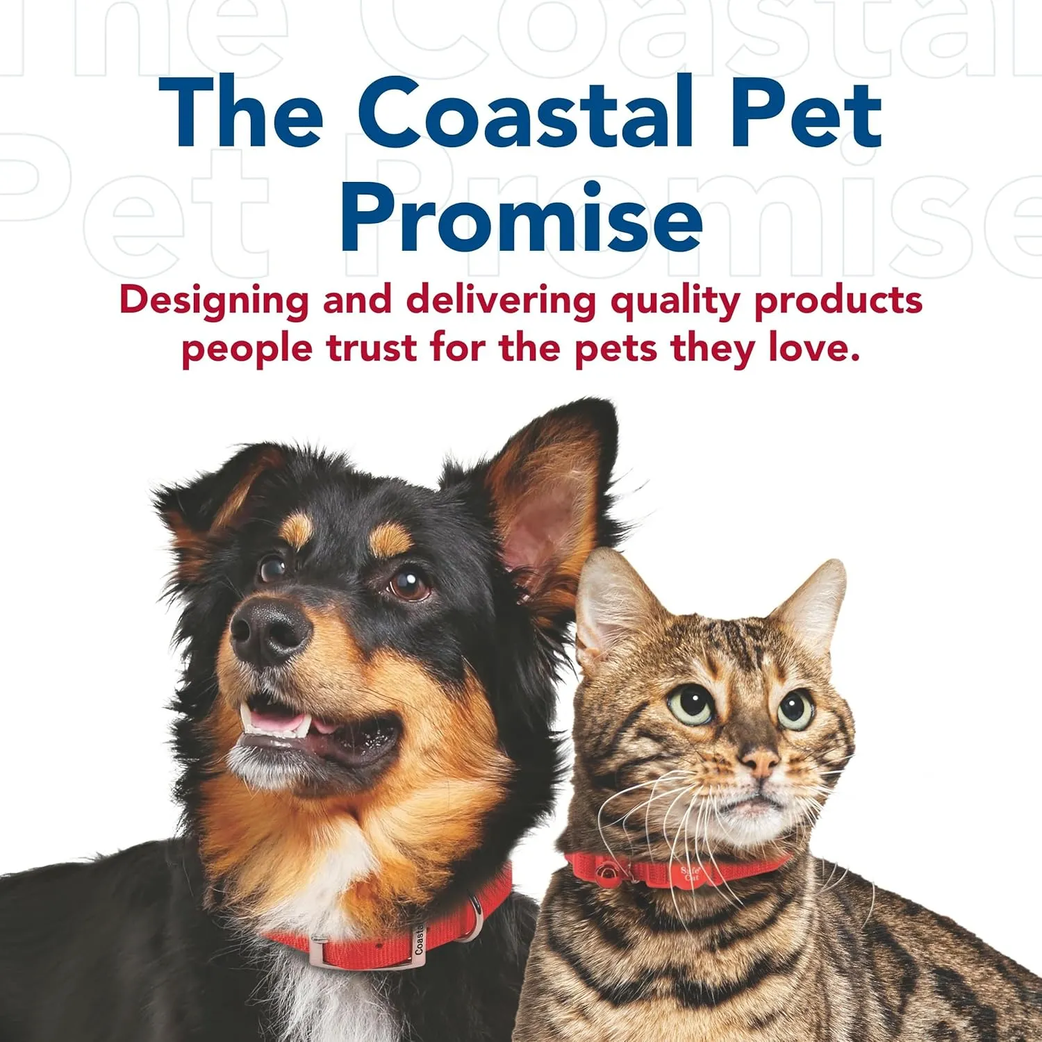 Coastal Pet Walk Right Front-Connect No-Pull Padded Dog Harness - Adjustable & Comfortable Dog Harness - Small & Large Breed Fit - Quality Pet Supplies - Black, MED (20"-30")