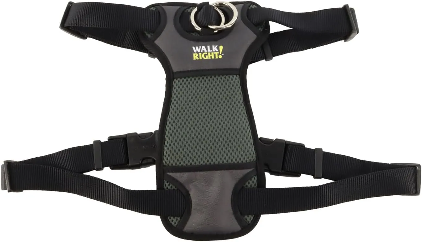 Coastal Pet Walk Right Front-Connect No-Pull Padded Dog Harness - Adjustable & Comfortable Dog Harness - Small & Large Breed Fit - Quality Pet Supplies - Black, MED (20"-30")