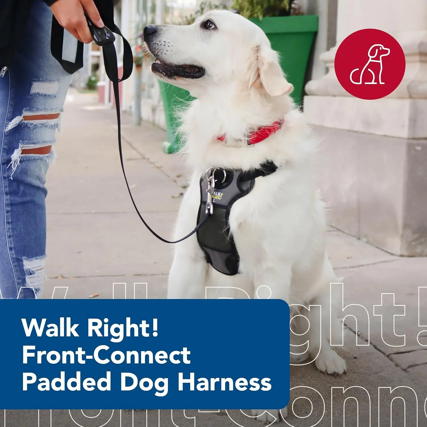 Coastal Pet Walk Right Front-Connect No-Pull Padded Dog Harness - Adjustable & Comfortable Dog Harness - Small & Large Breed Fit - Quality Pet Supplies - Black, MED (20"-30")