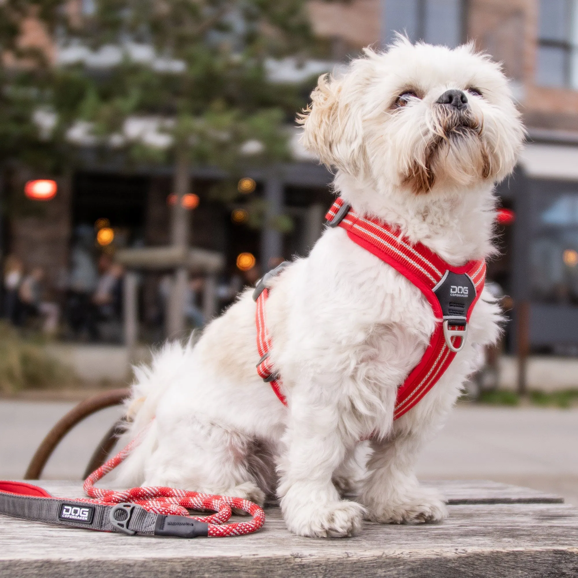 Copenhagen Comfort Walk Air Dog Harness- Red