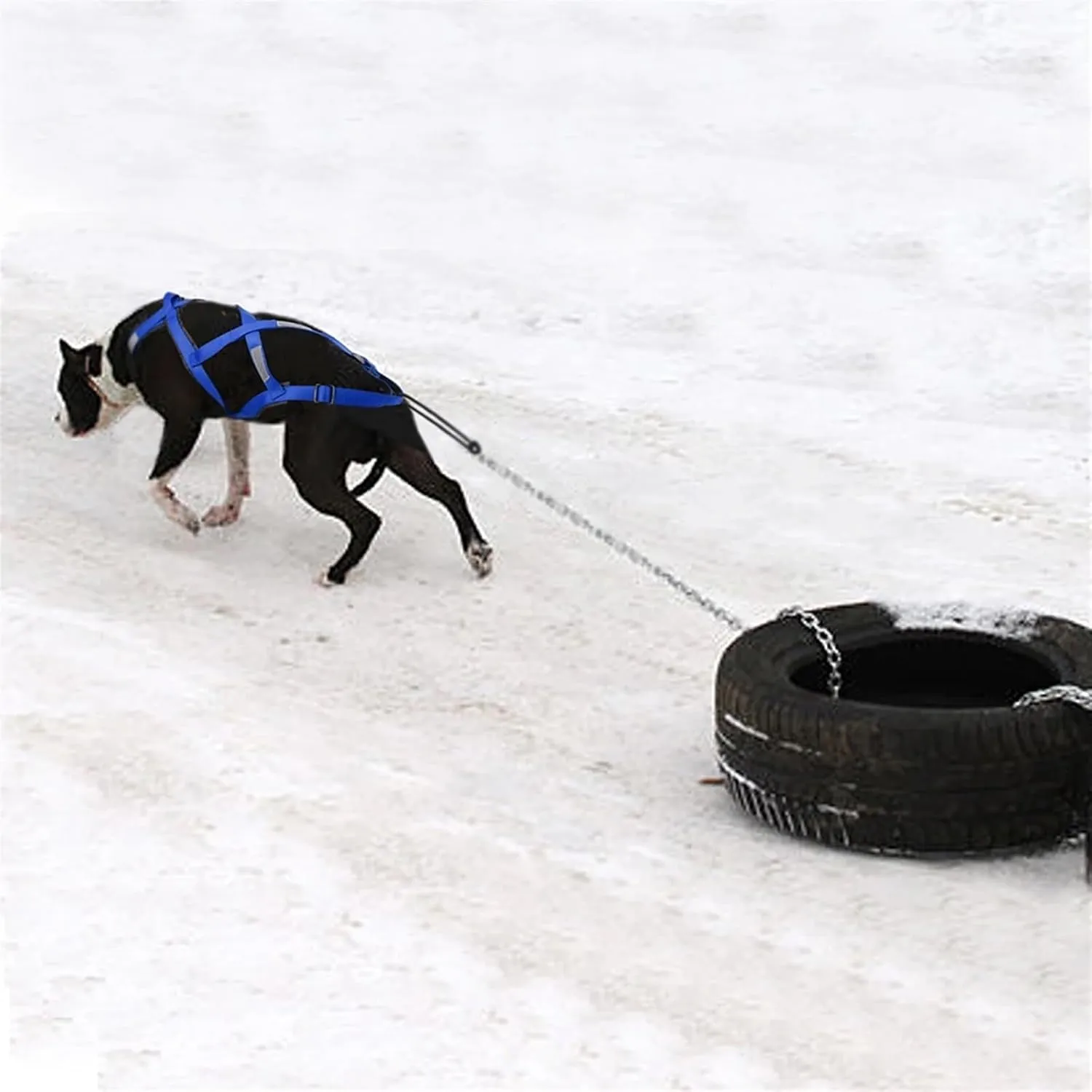 Dog Sledding Harness,Reflective Dog Sled Harness Waterproof Big Dog Sledding Harness,ES Pet Training Pull Strength Strap for Dogs Skijoring Scootering(Red,M)