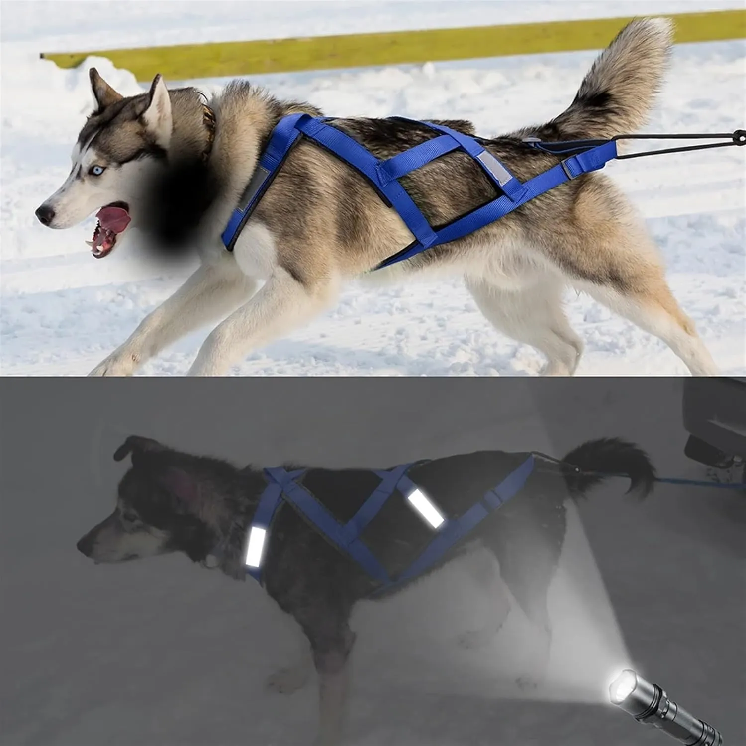 Dog Sledding Harness,Reflective Dog Sled Harness Waterproof Big Dog Sledding Harness,ES Pet Training Pull Strength Strap for Dogs Skijoring Scootering(Red,M)