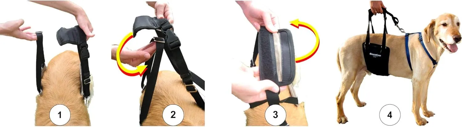 Dog Sling Support Harness, LG Female fits Big Dogs Over 65 lbs. Padded Rear Lift with Integrated Leash to Assist Senior K9s, or Recovery from Knee/TPLO, Hip or Back Surgery. Made in U.S.A.