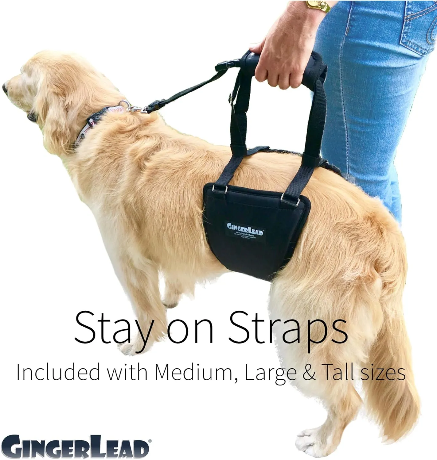 Dog Sling Support Harness, LG Female fits Big Dogs Over 65 lbs. Padded Rear Lift with Integrated Leash to Assist Senior K9s, or Recovery from Knee/TPLO, Hip or Back Surgery. Made in U.S.A.