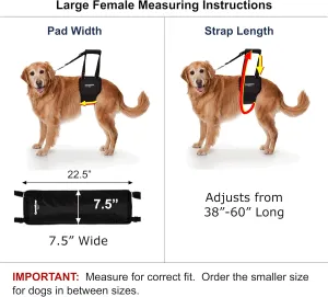 Dog Sling Support Harness, LG Female fits Big Dogs Over 65 lbs. Padded Rear Lift with Integrated Leash to Assist Senior K9s, or Recovery from Knee/TPLO, Hip or Back Surgery. Made in U.S.A.