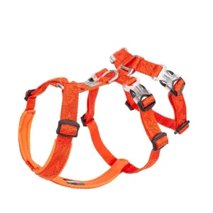 Double-h Nylon Reflective Dog Harness