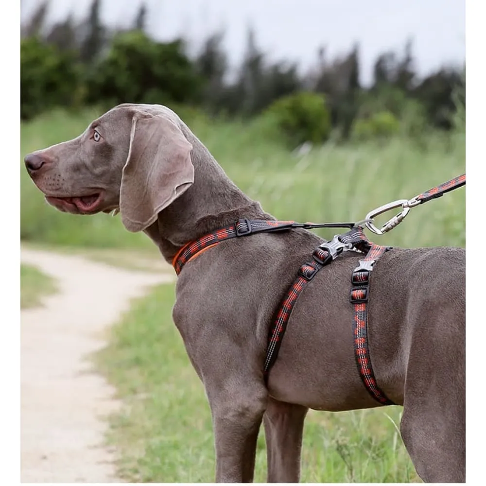 Double h Trail Runner Reflective Harness