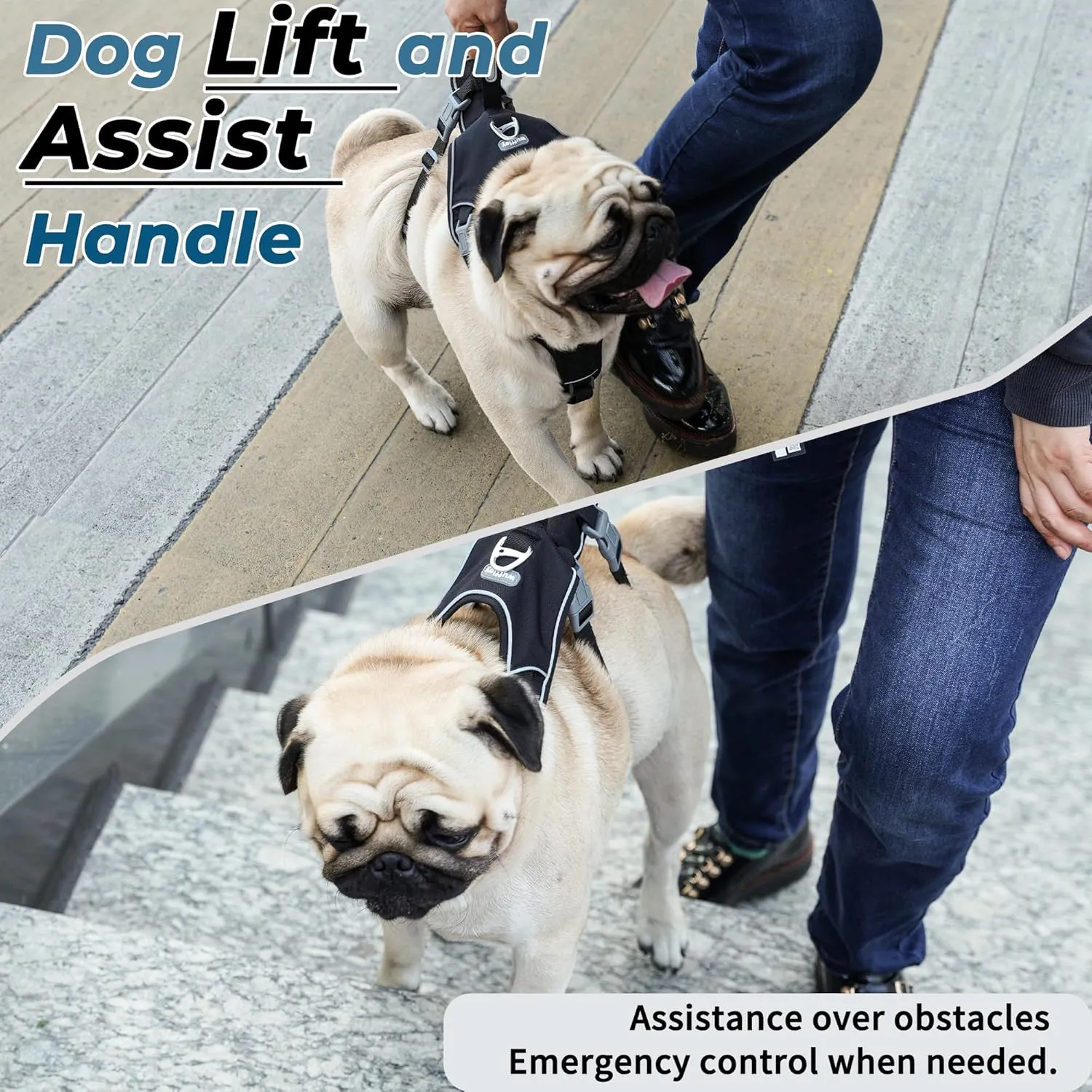 Escape Proof Dog Harness and Leash Set, Lightweight Dog Harness with Lift and Assist Handle, No Pull Reflective Pet Vest for Small Medium Dogs, Ideal for Puppy Walking and Training (Black, S)