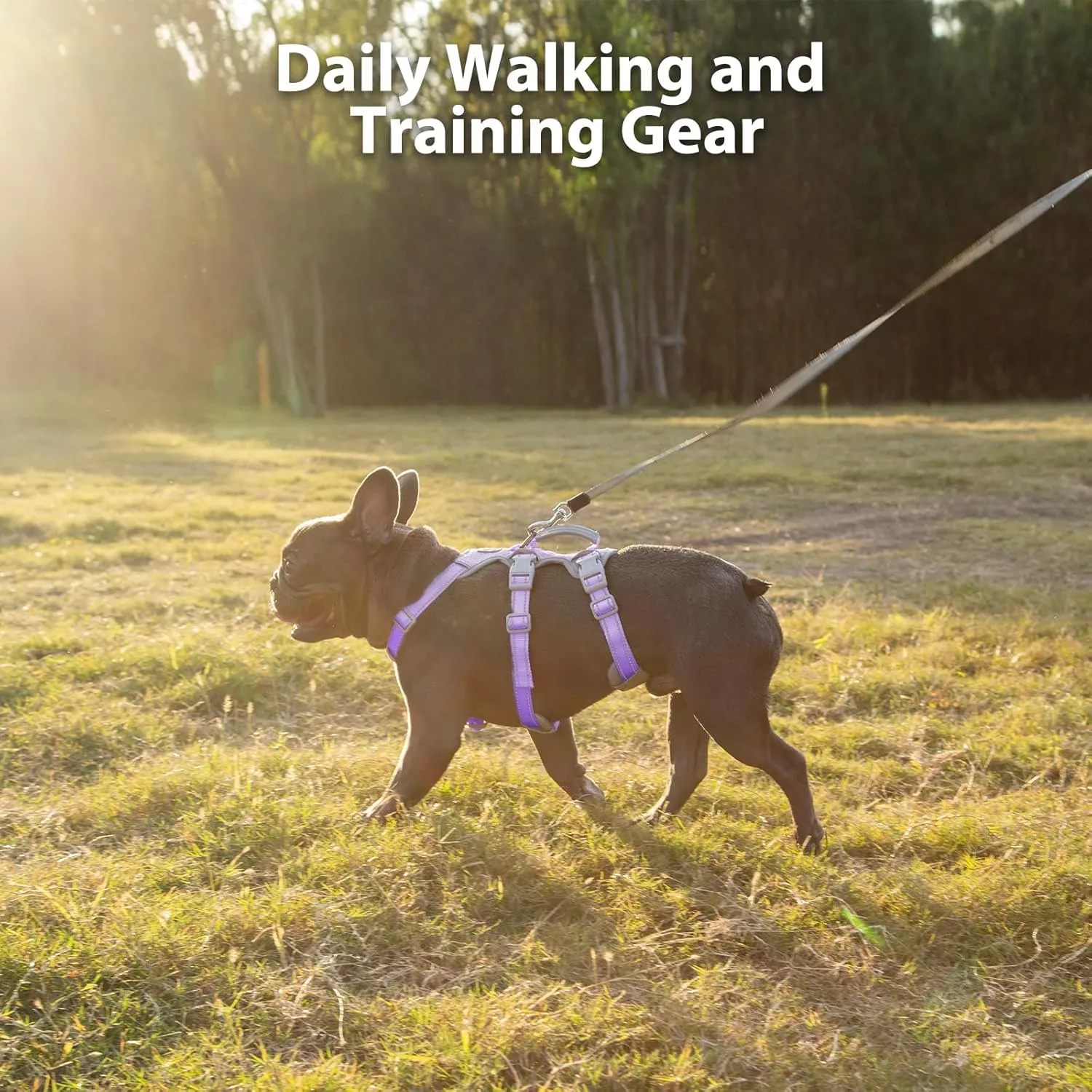 Escape Proof Dog Harness, No Pull Reflective Harness with Lift Handle,Adjustable Pet Vest with Front and Back Leash Clips for Small Medium Large Dogs Walking Hiking Training(Lavender Purple,L)