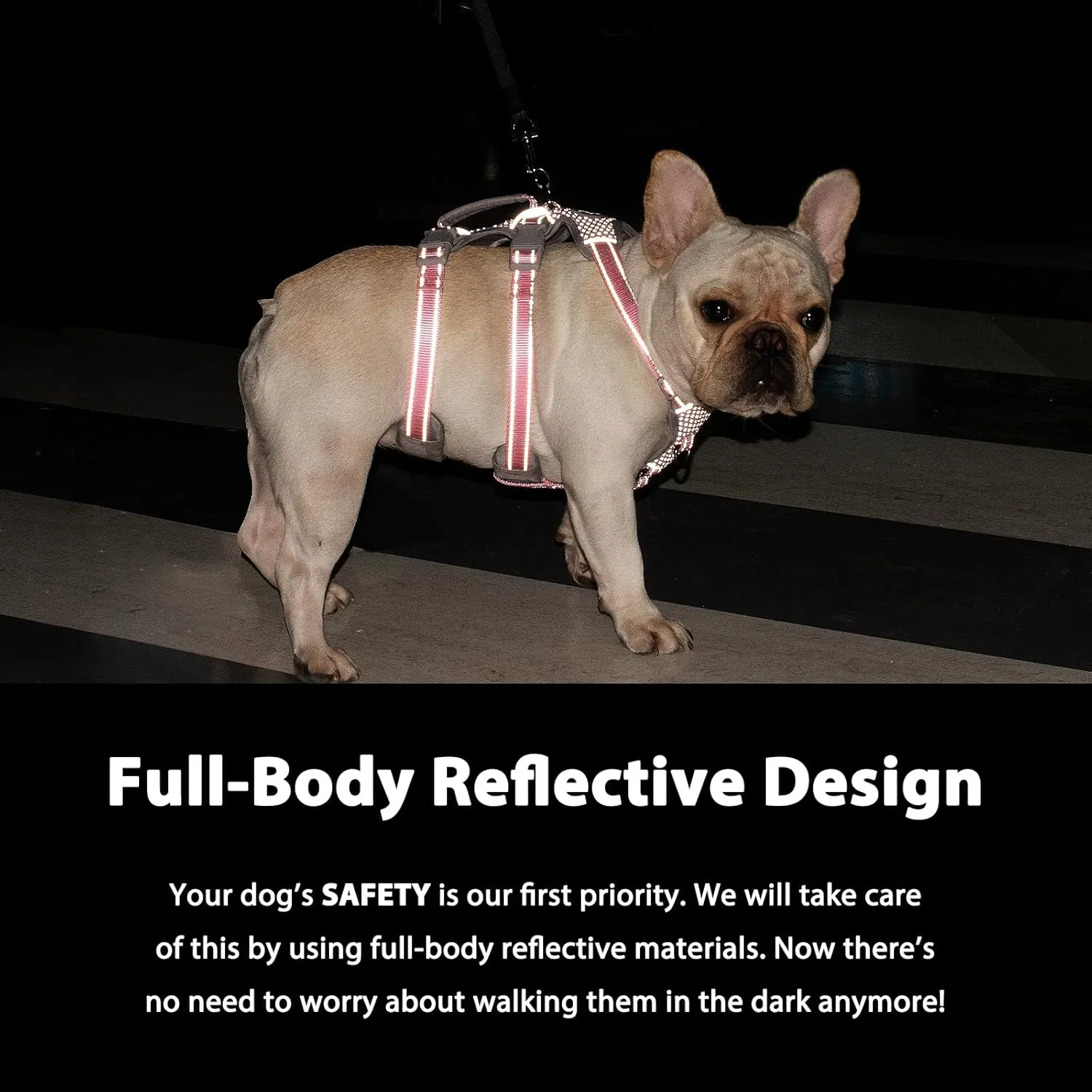 Escape Proof Dog Harness, No Pull Reflective Harness with Lift Handle,Adjustable Pet Vest with Front and Back Leash Clips for Small Medium Large Dogs Walking Hiking Training(Lavender Purple,L)
