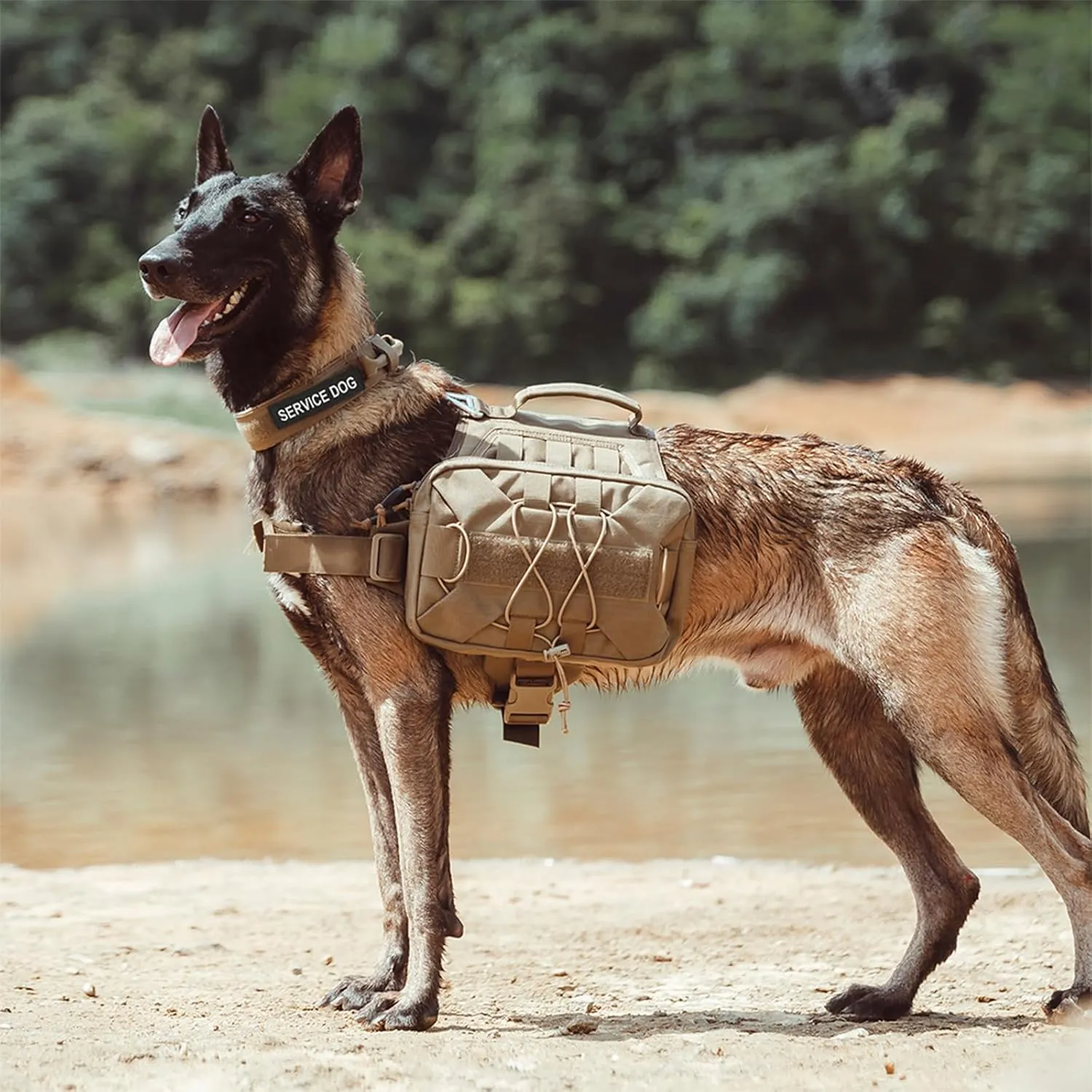 EXCELLENT ELITE SPANKER Dog Pack Dog Saddle Bag Backpack for Camping Hiking Medium & Large Dog with 2 Capacious Side Pockets (M, Ranger Green)