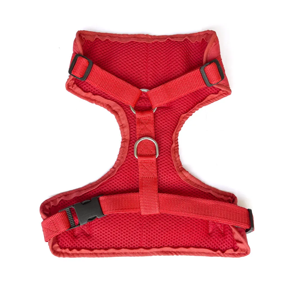 Festive Brocade Shahi Sherwani Harness - Red