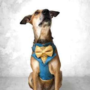 Festive Regal Tuxedo Harness - Blue