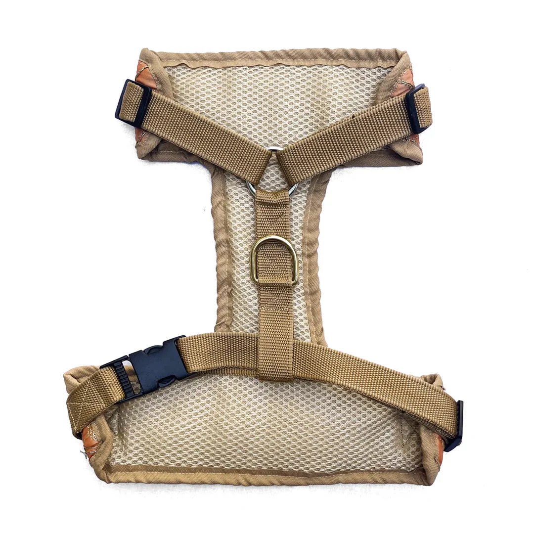 Festive Regal Tuxedo Harness - Peach