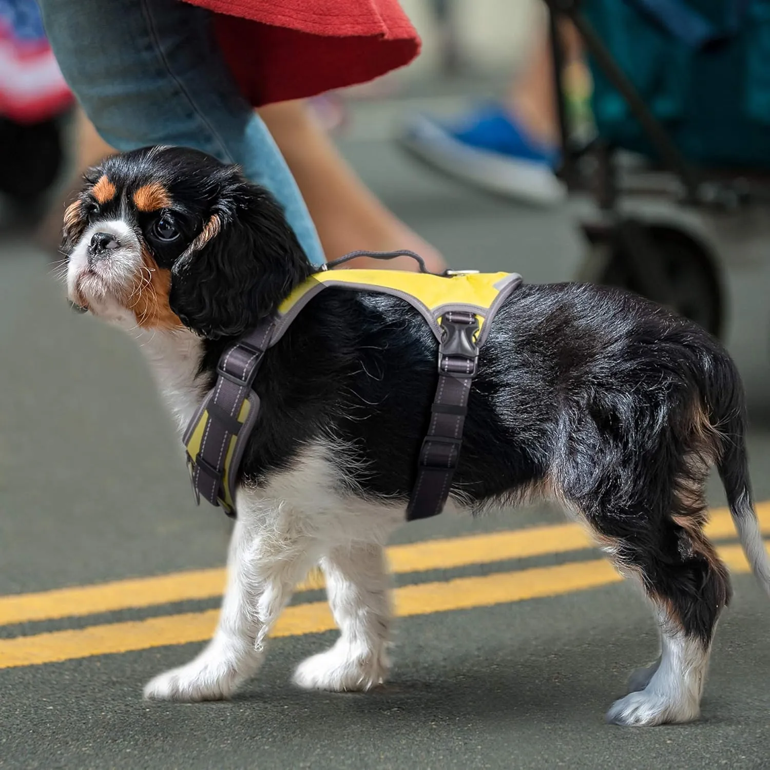 Fida Dog Harness, Multi-Functional No-Pull Pet Vest Harness with Saddle Bags Backpack, Front Leash Clip, Adjustable Soft Padded Reflective No-Choke Dog Vest Heavy Duty for Small Dog, S, Yellow