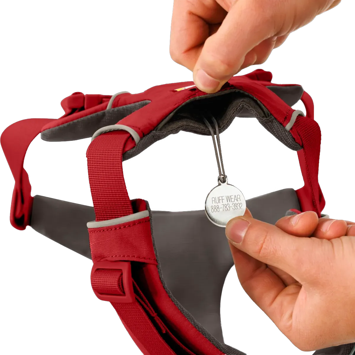 Front Range Harness