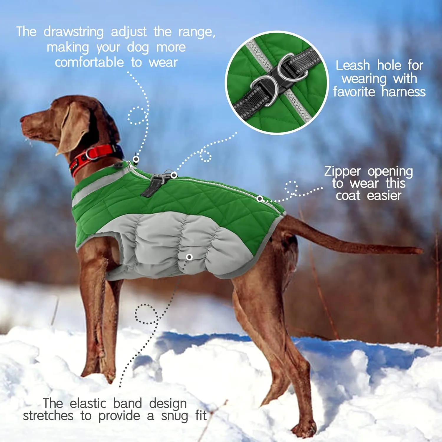 FUAMEY Dog Coat - Warm Winter Jacket with Padded Fleece, Reflective, Waterproof & Windproof, Built-in Harness, Green, X-Large