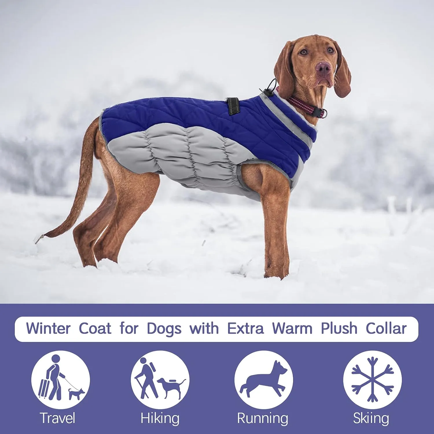FUAMEY Warm Dog Jacket, Winter Coat with Padded Fleece, Reflective Vest, Built-in Harness, Waterproof & Windproof, Blue Medium