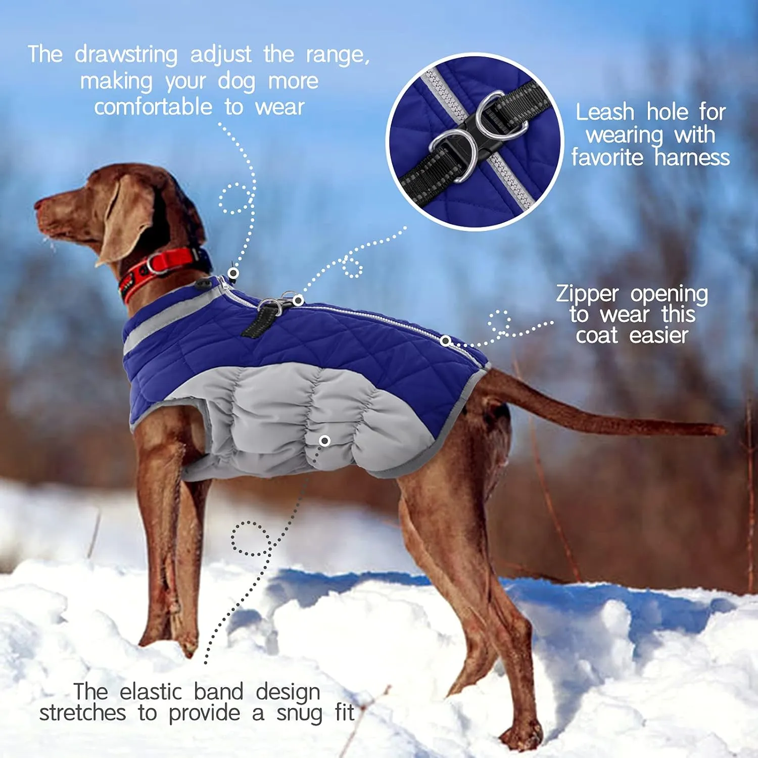 FUAMEY Warm Dog Jacket, Winter Coat with Padded Fleece, Reflective Vest, Built-in Harness, Waterproof & Windproof, Blue Medium