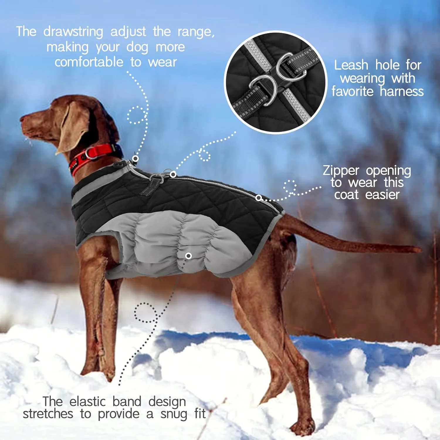 FUAMEY Warm Dog Jacket, Winter Coat with Padded Fleece, Reflective Vest, Built-in Harness, Waterproof & Windproof, Snow Jacket for Cold Weather, Black, X-Large