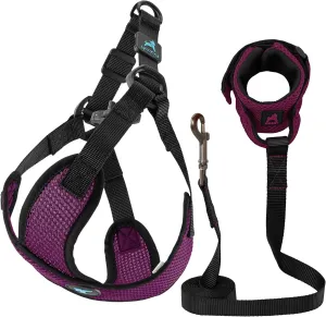 Gooby Comfort X Step in Lite Harness and Mesh Wristband Surfer Leash Set-Purple, Small, 6 FT-Choke Free and Escape Free Harness with Breathable Mesh and Mesh Handsfree Leash for Small and Medium Dog