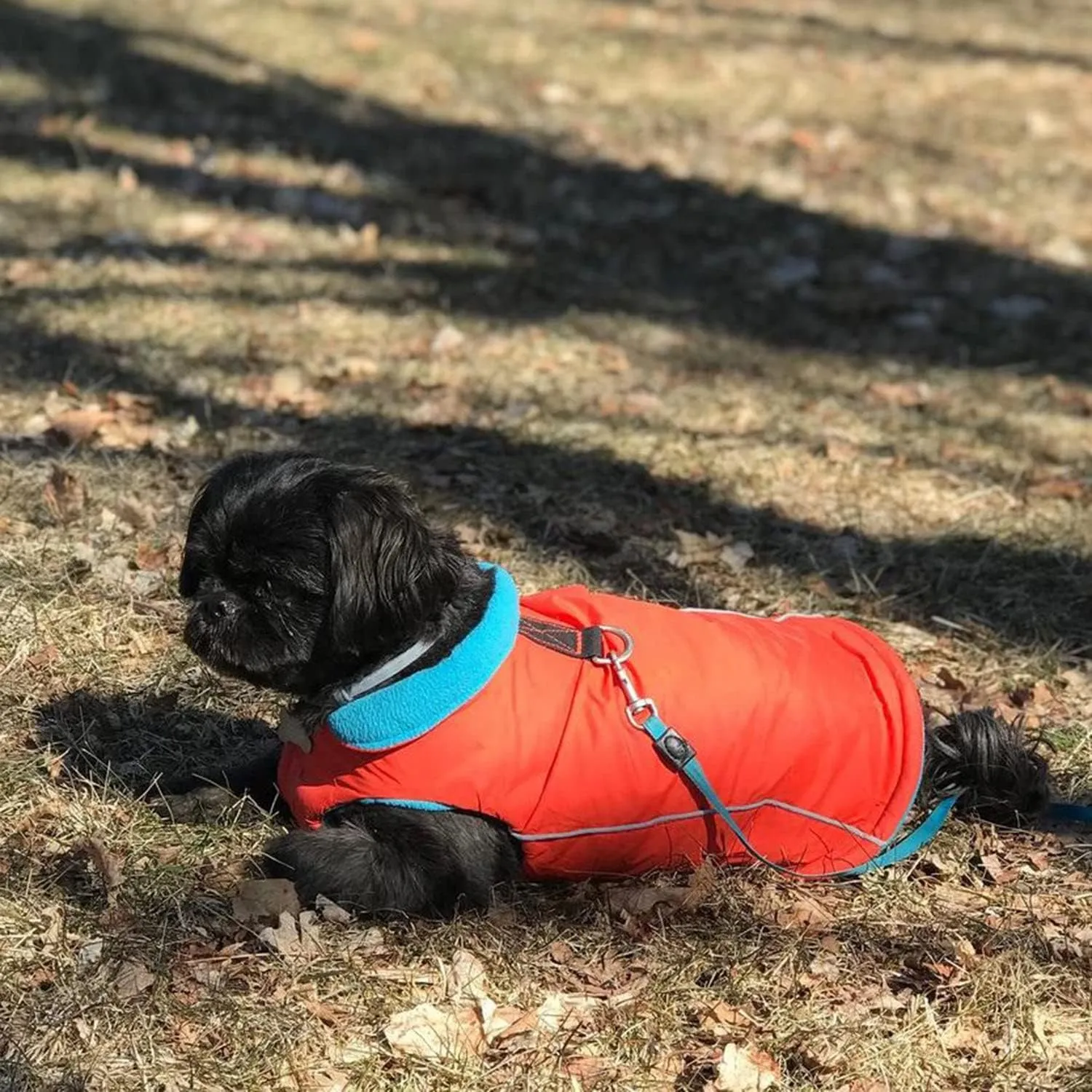 Gooby Sports Vest Dog Jacket - Orange, Medium - Reflective Dog Vest with D Ring Leash - Warm Fleece Lined Small Breed Dog Sweater, Hook and Loop Closure